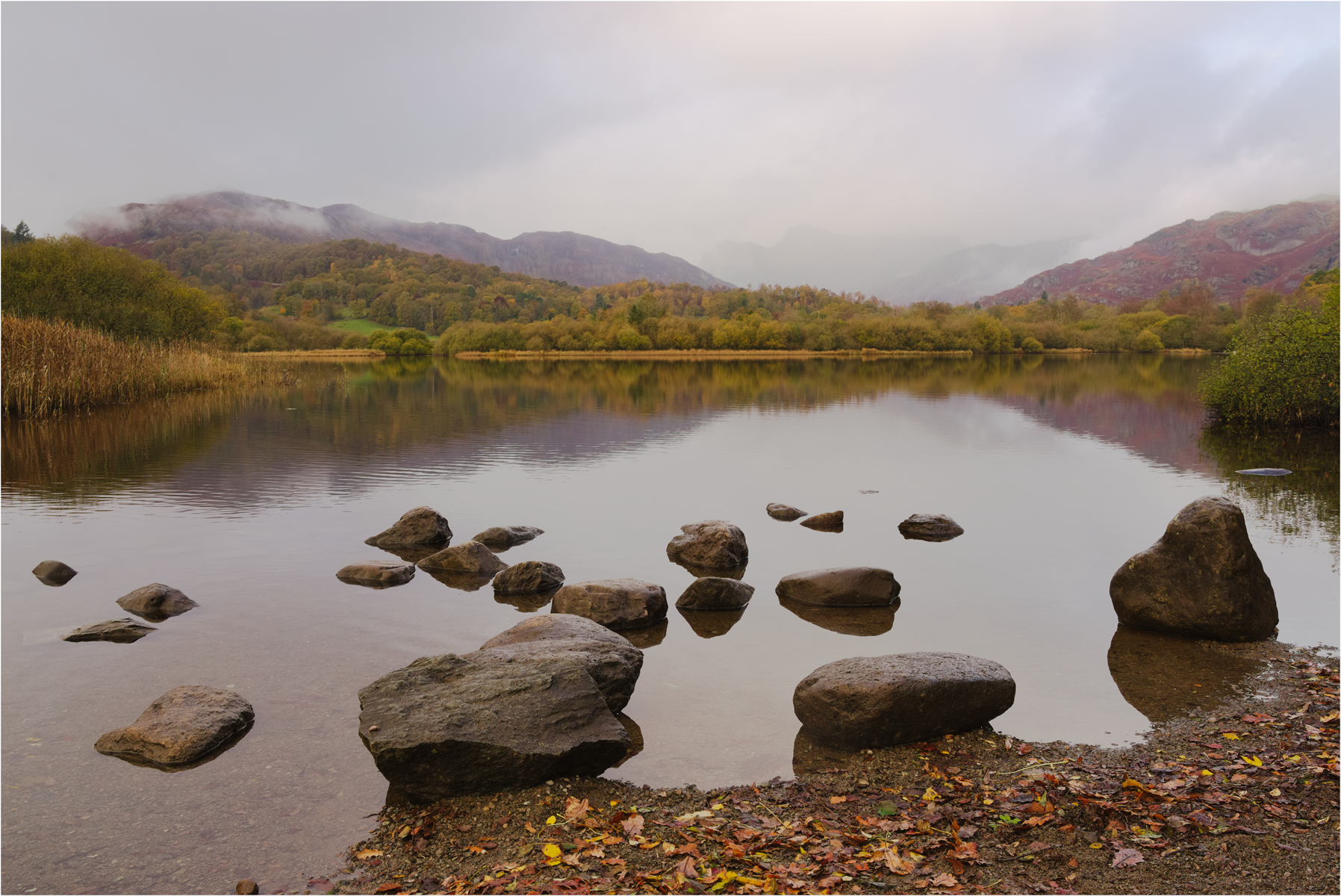 Tranquil Waters