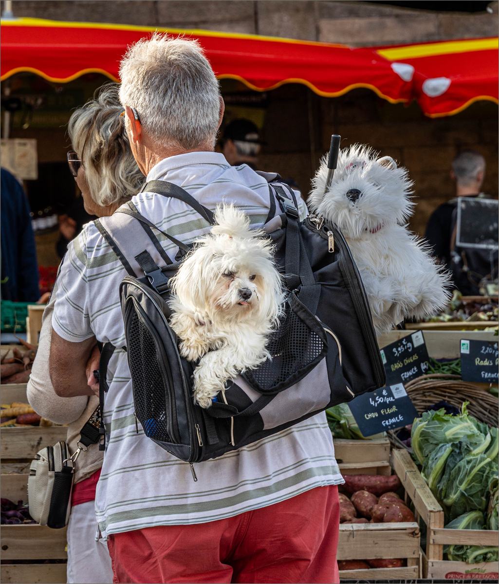 Being Carried Around