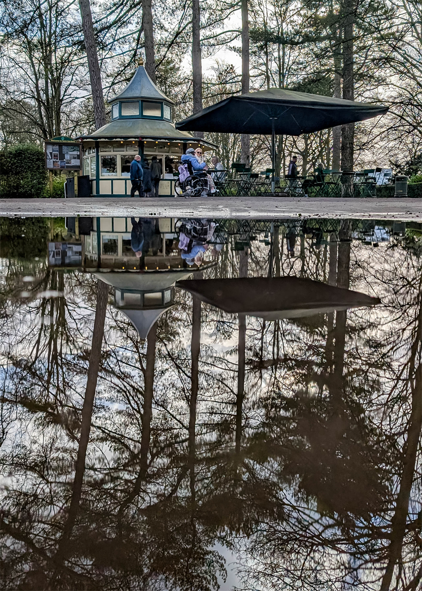 Winter Reflections