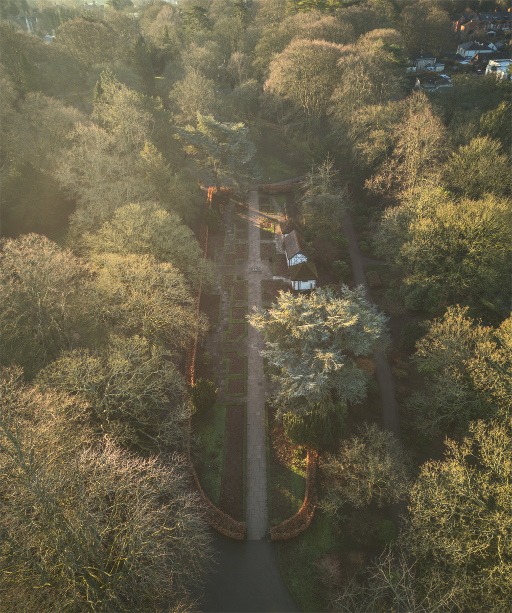 A Garden Wakes