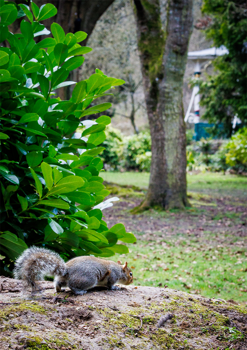 Town Gardens Resident