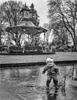 Bernard Hinton - Town Gardens Digital Competition