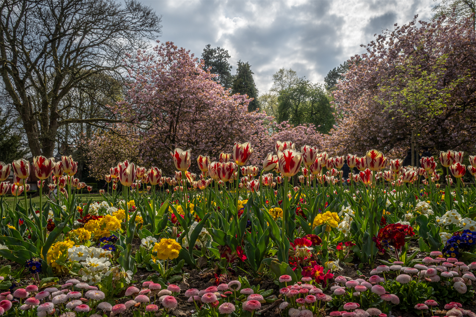 Town gardens in bloom