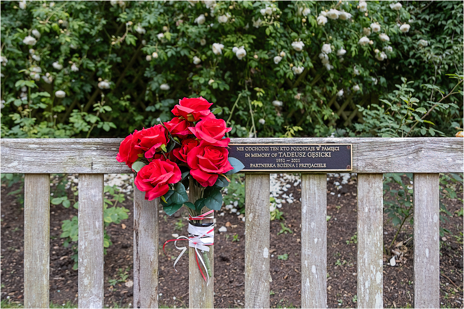 In Memory Of