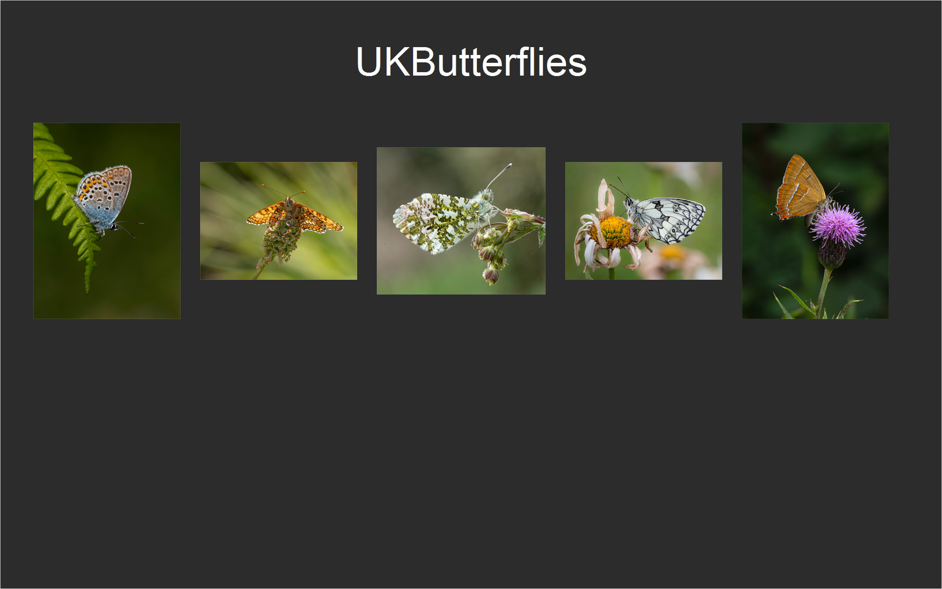 UKButterflies