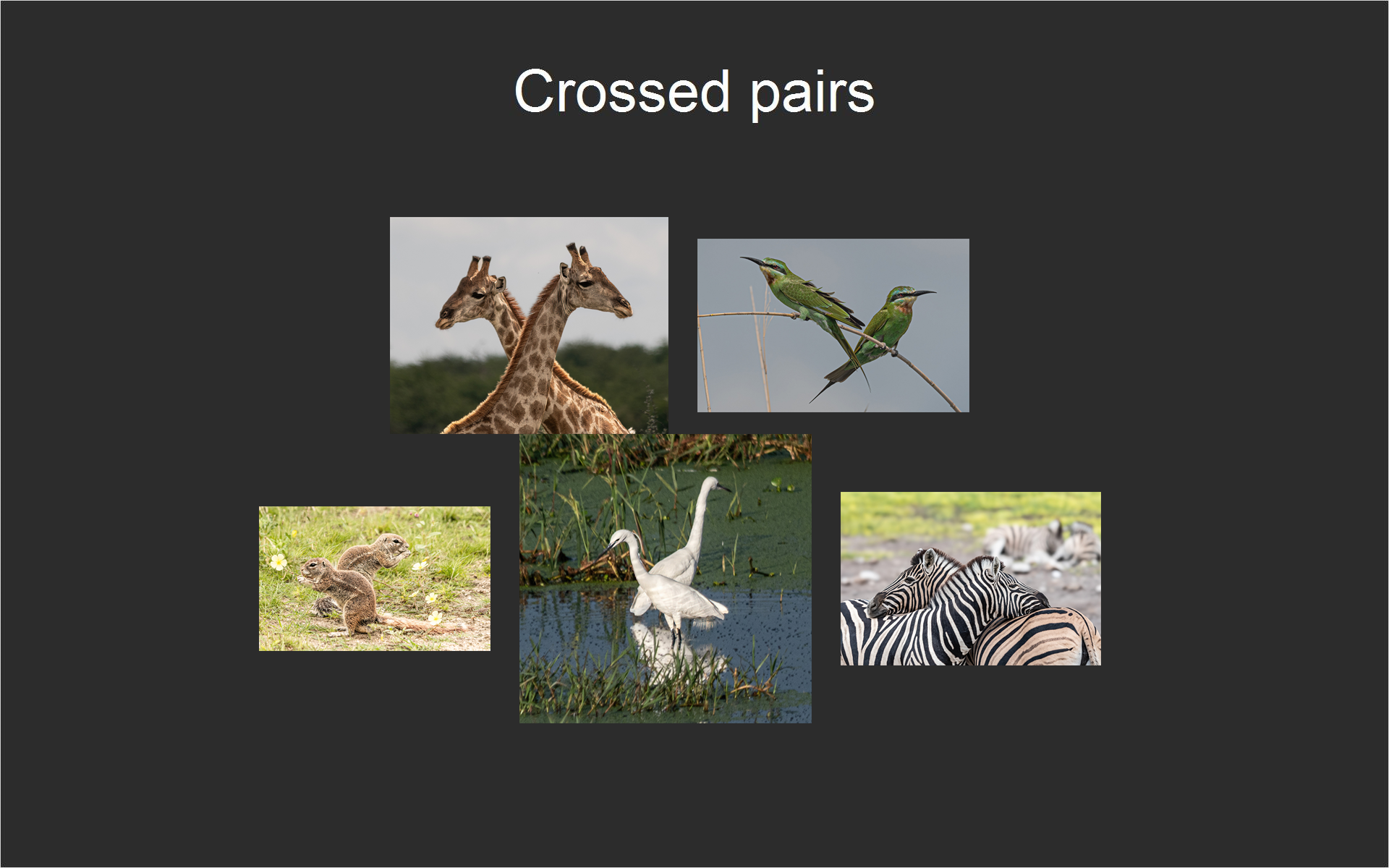 Crossed pairs