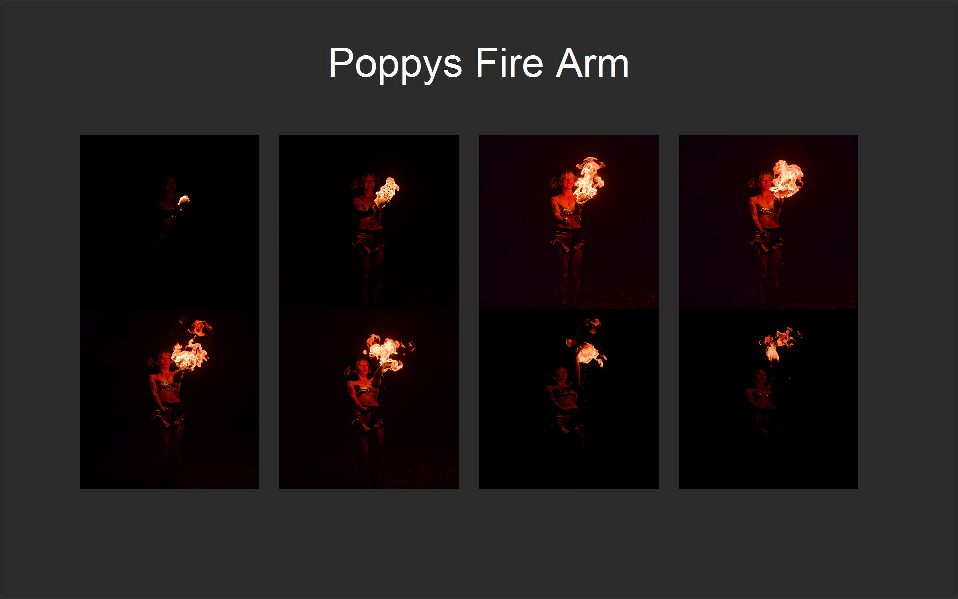 Poppys Fire Arm