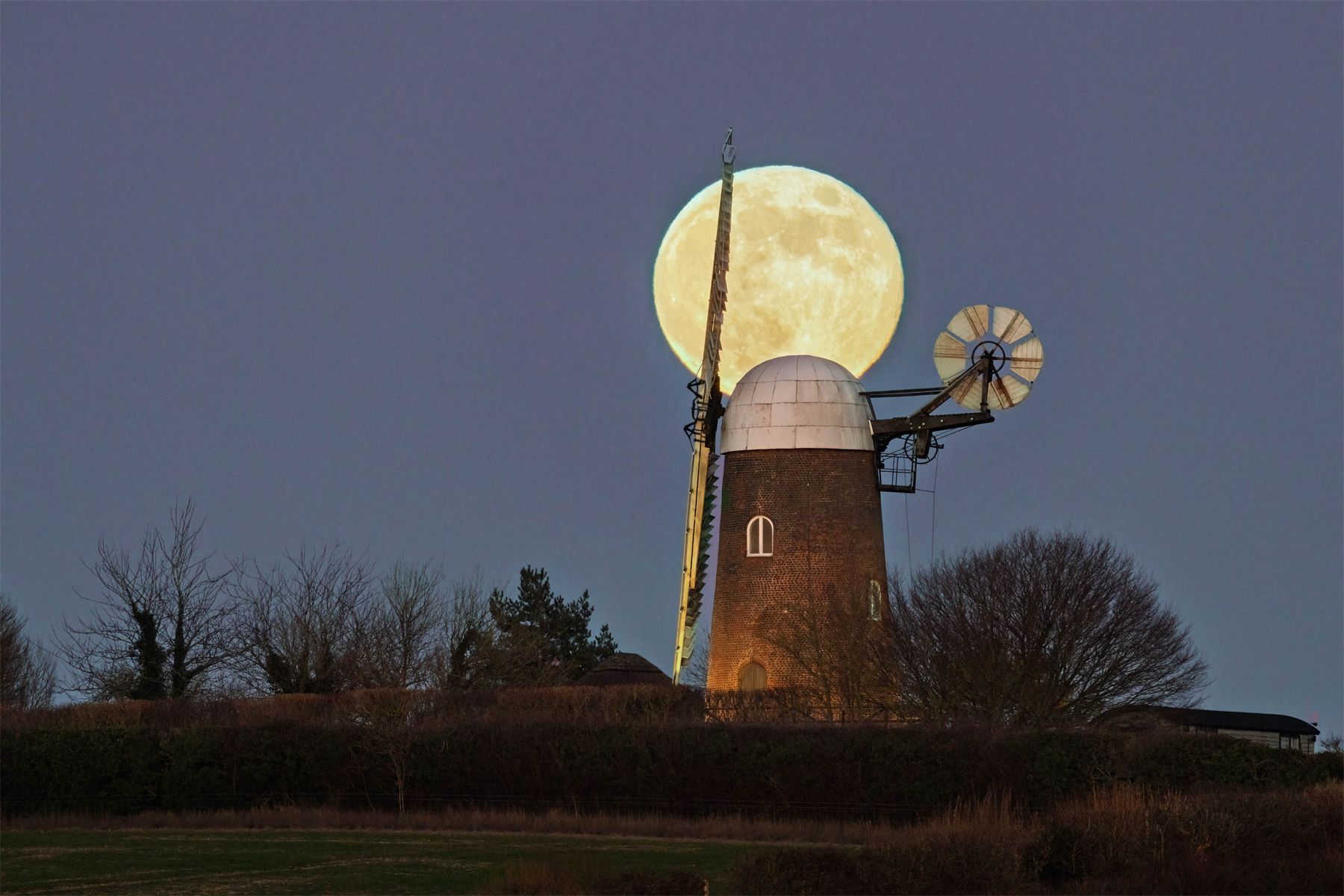 Fantail moon