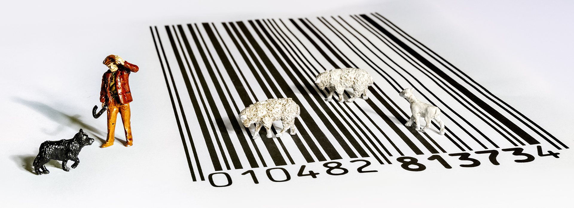 Baaa Code Mystery