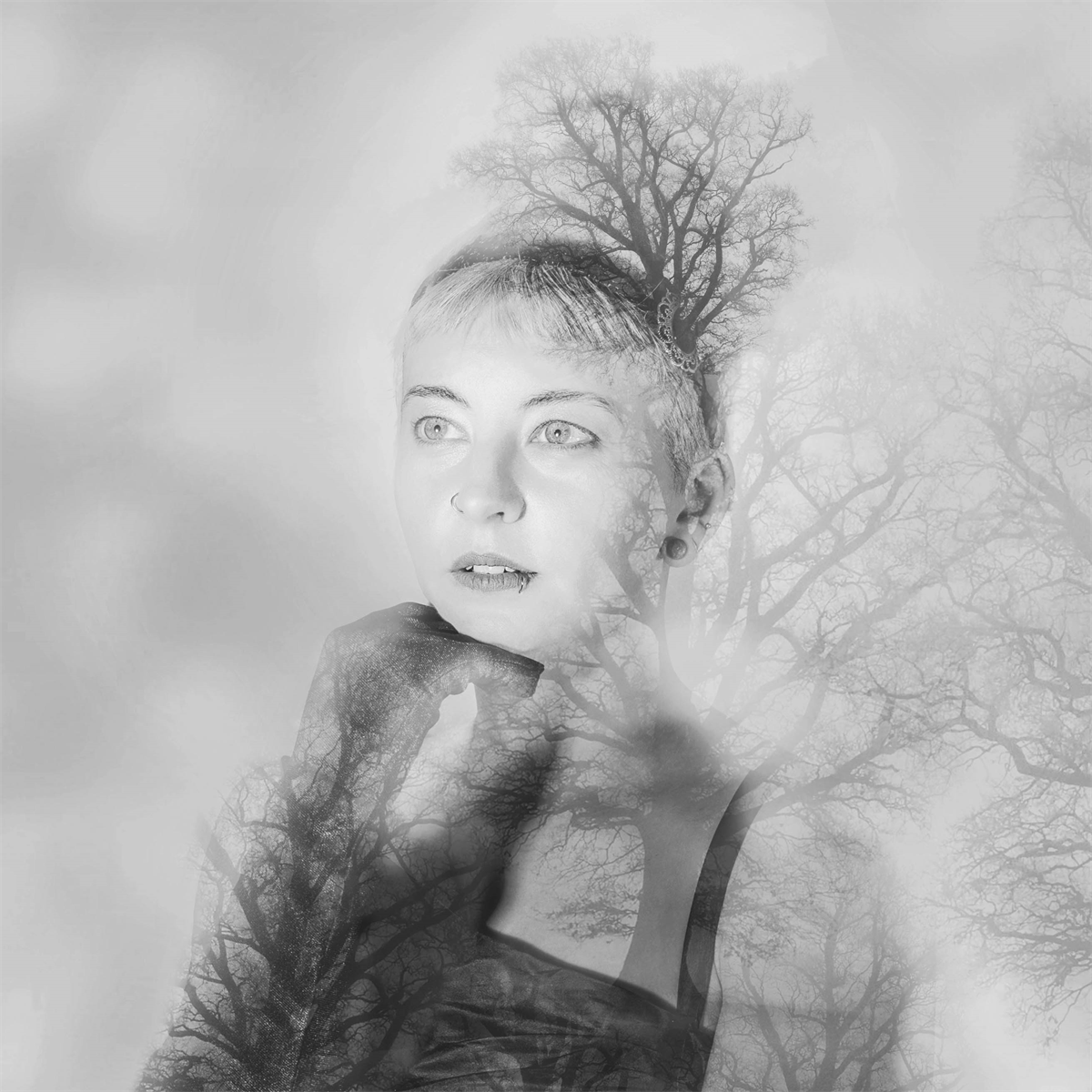 Poppy and the Trees