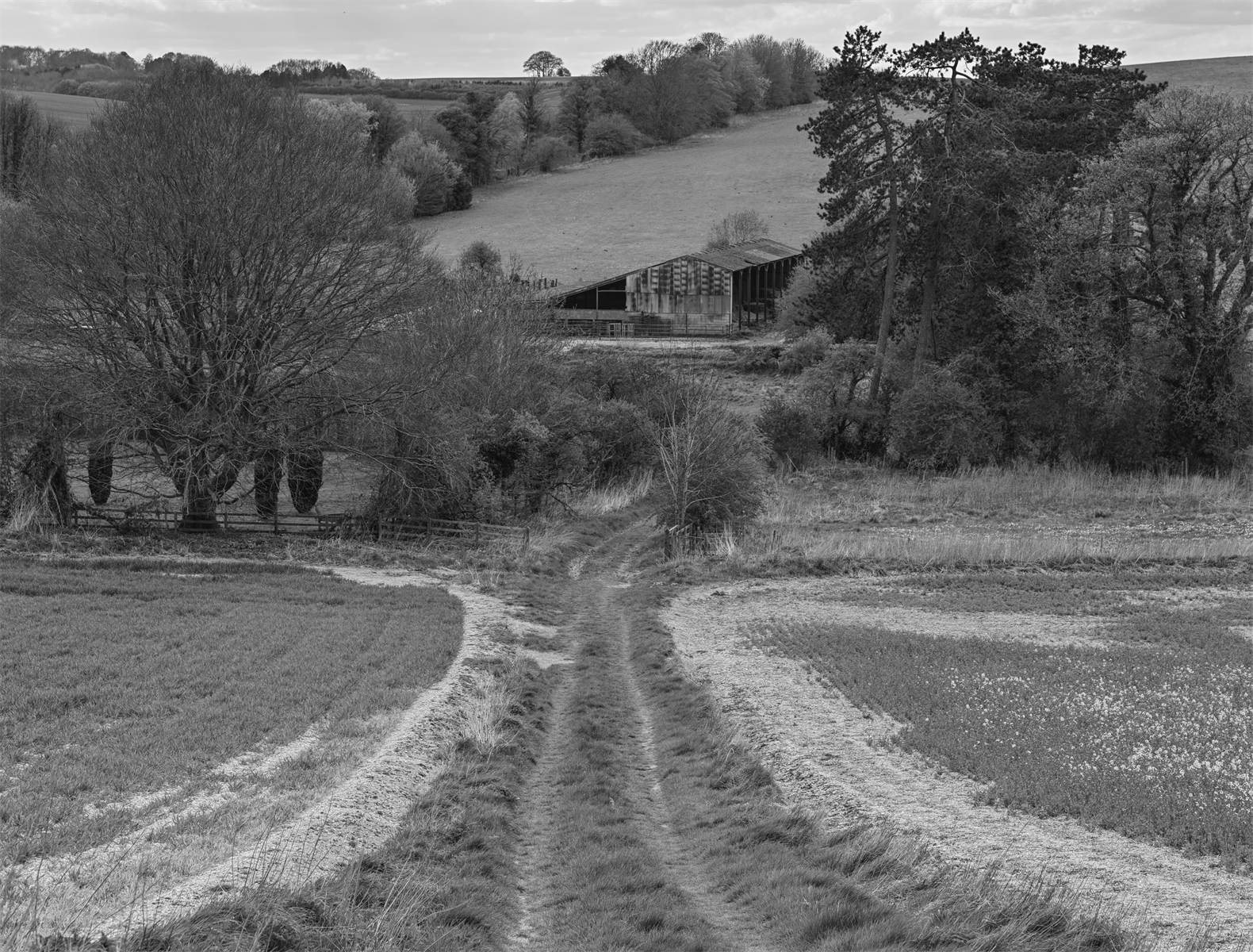 Farmscape