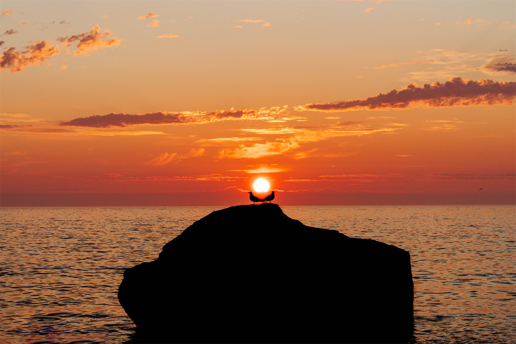 Midnight sun lovers