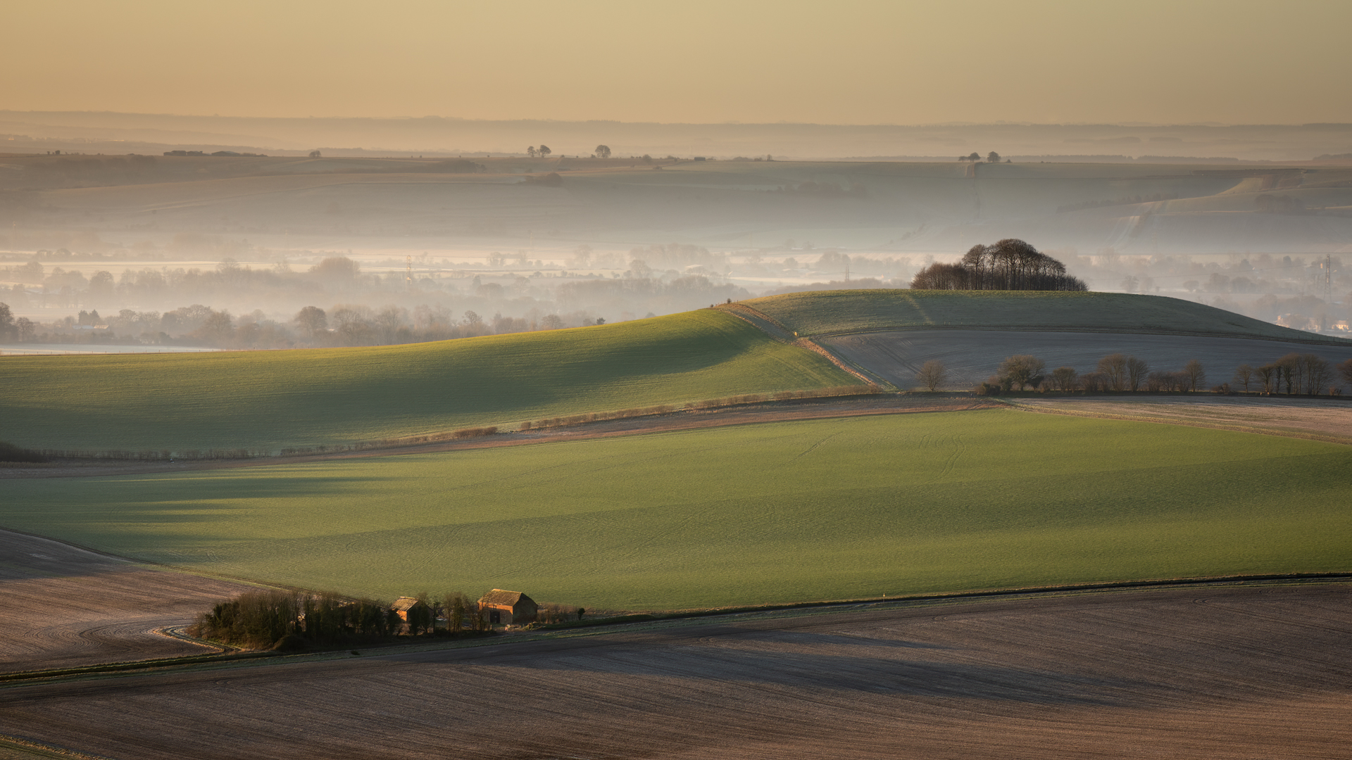Mist in Pewsey Vale