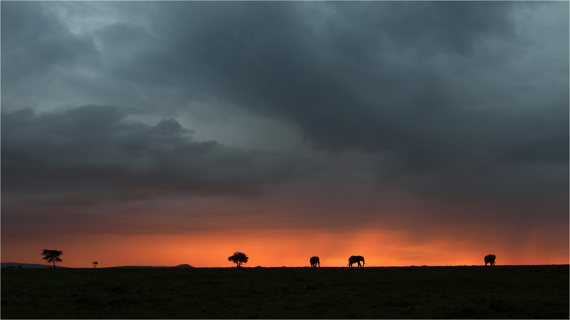 African Dawn