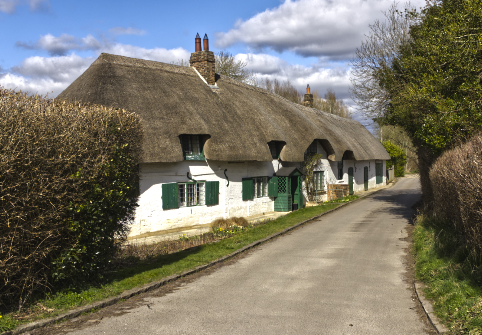 Thatch Cottages