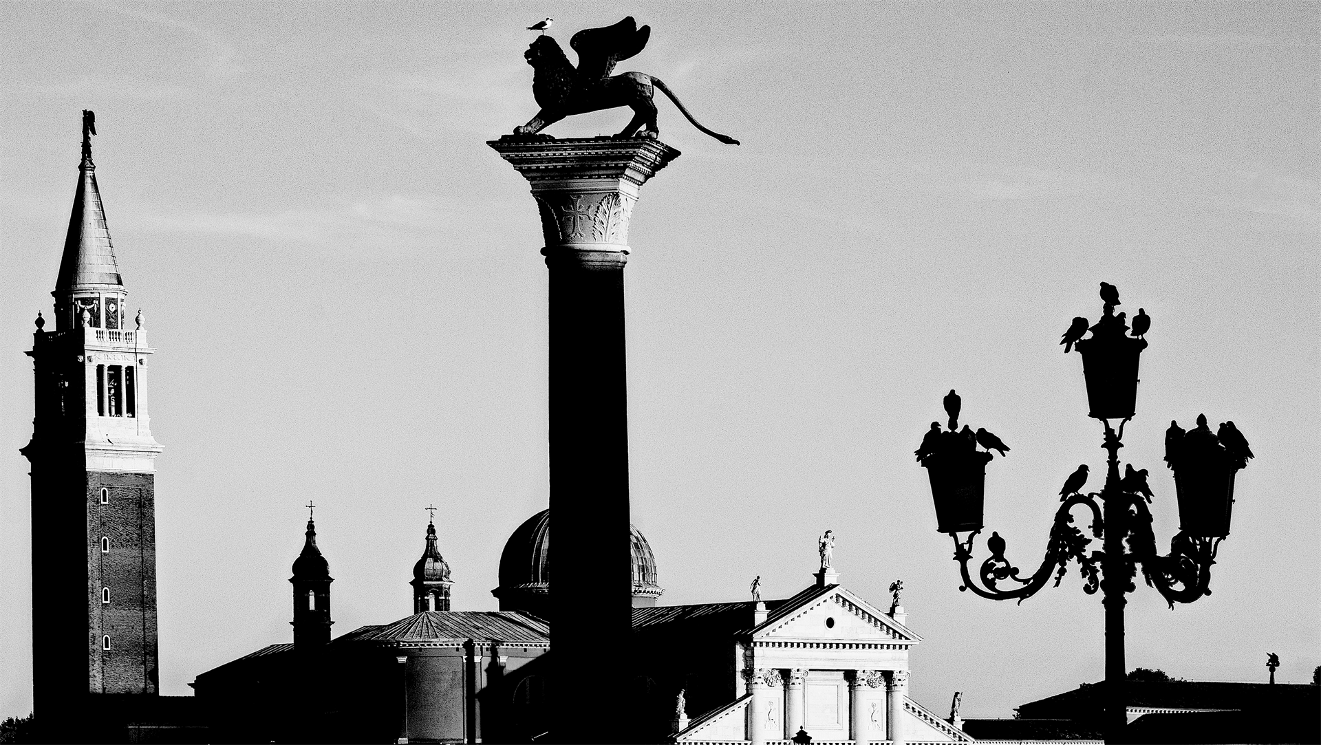 City of Shadows