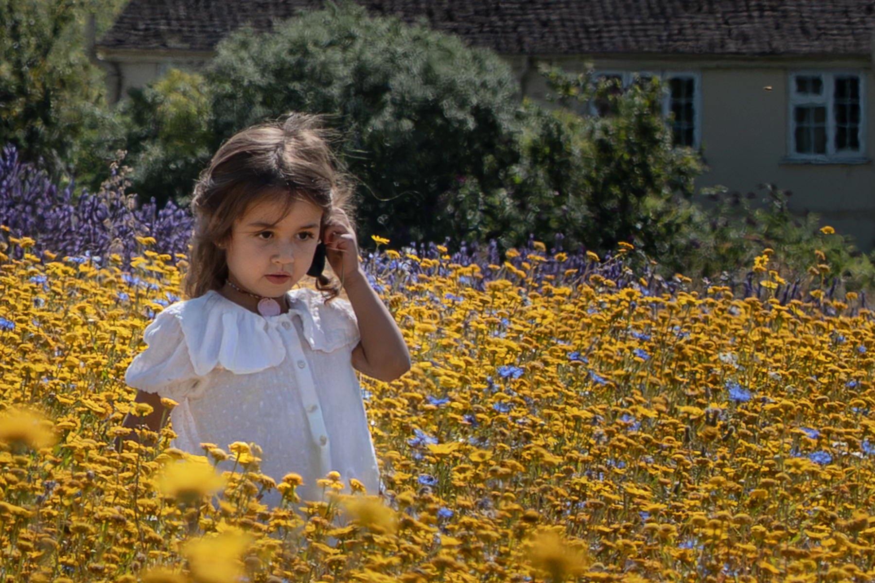 Girl In Meadow