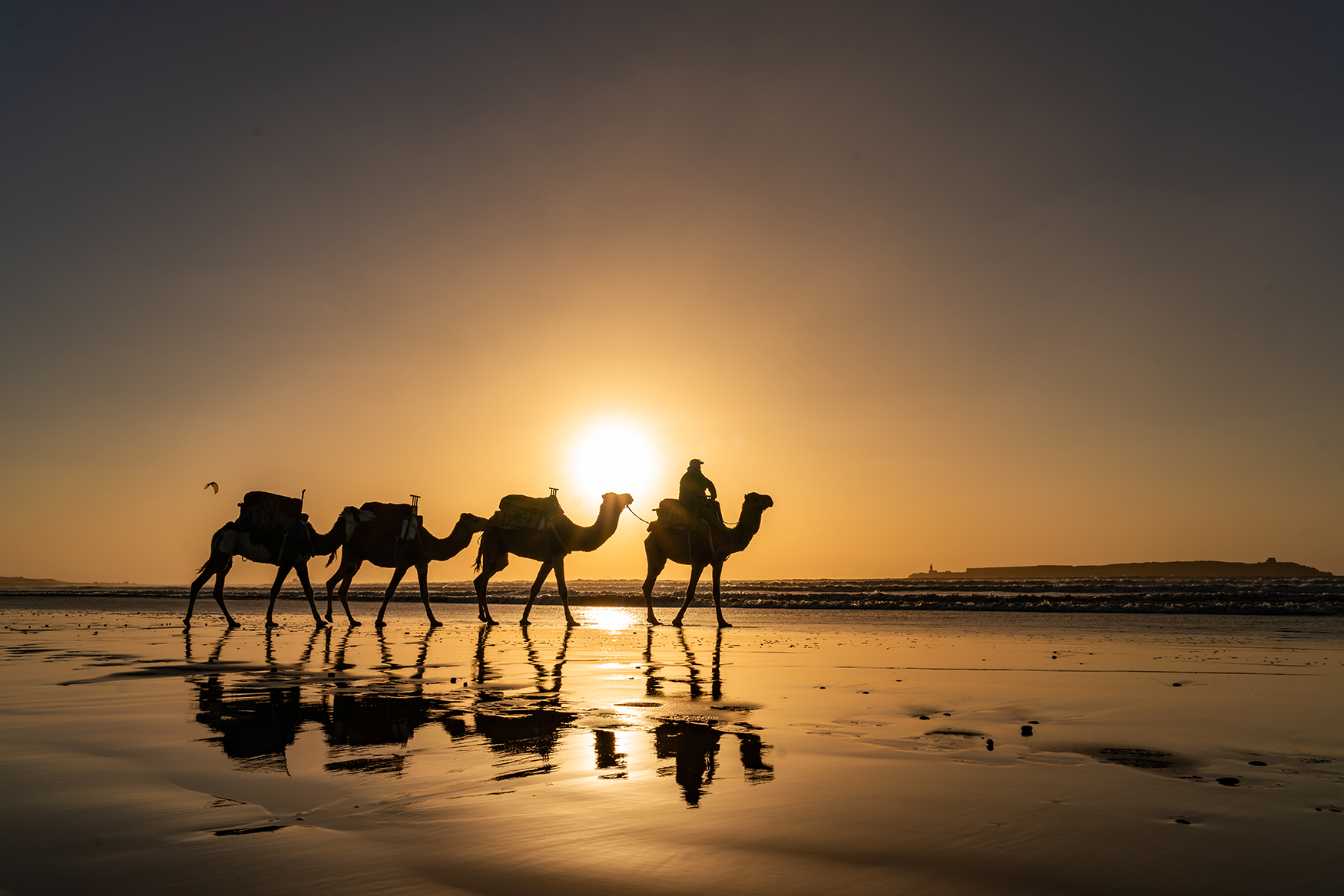 Moroccan sunset camel trak