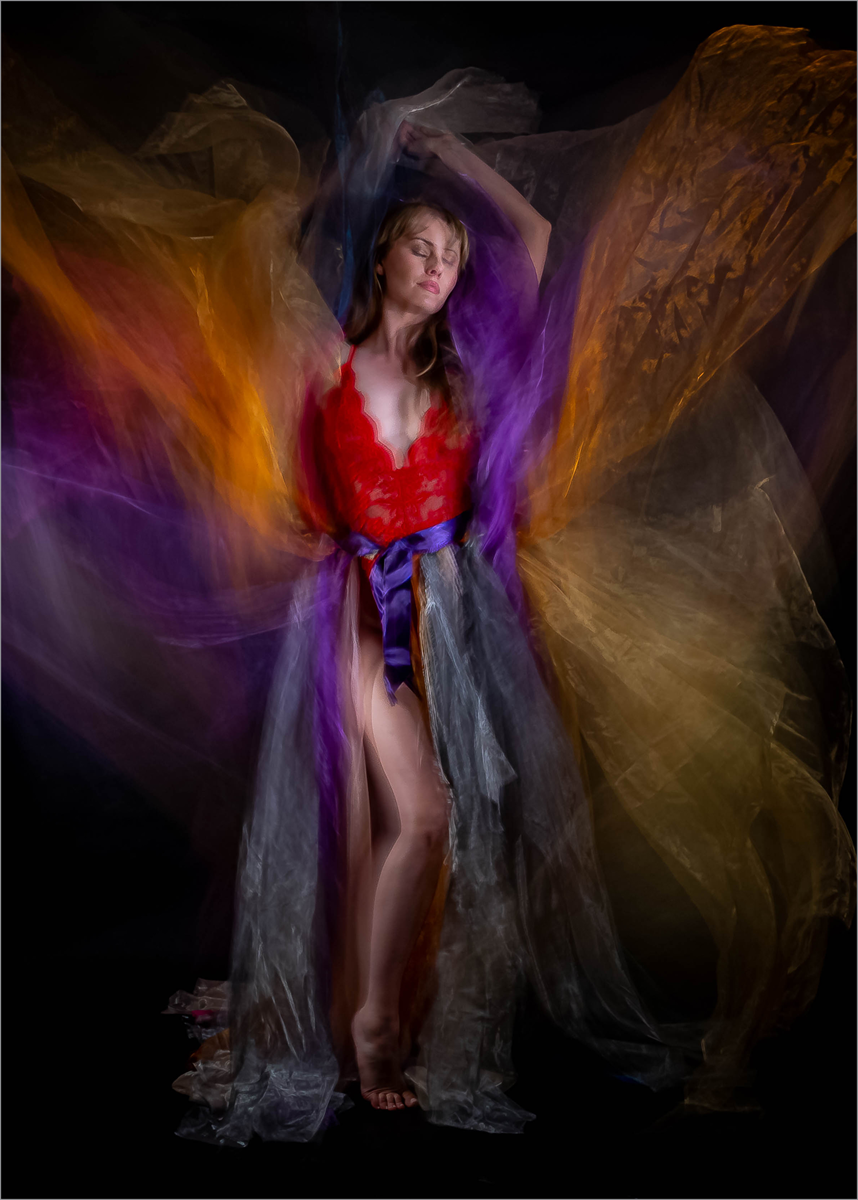 Carla the Butterfly