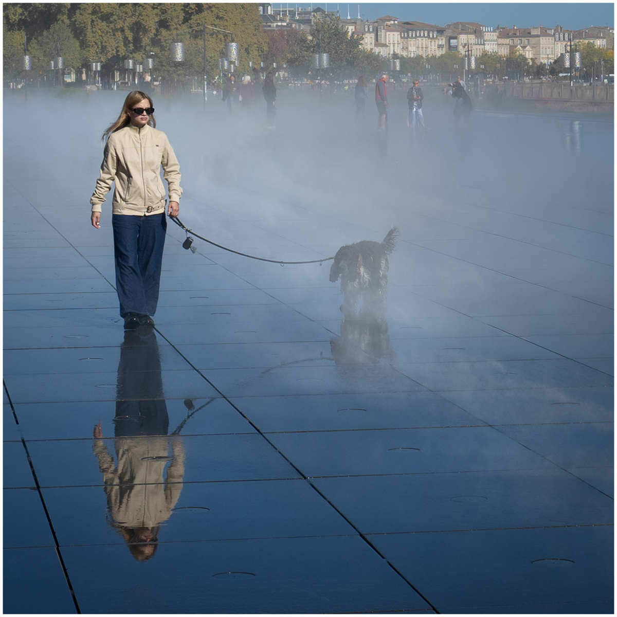 Dog In The Mist