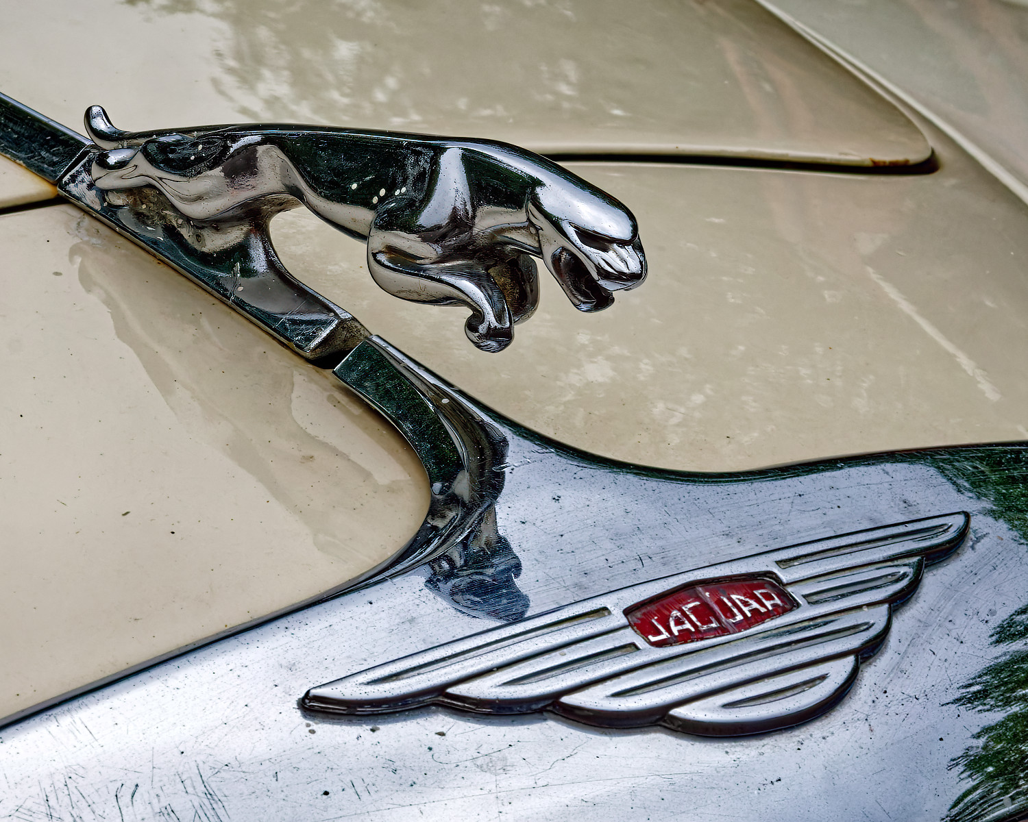 Jaguar Bonnet Mascot