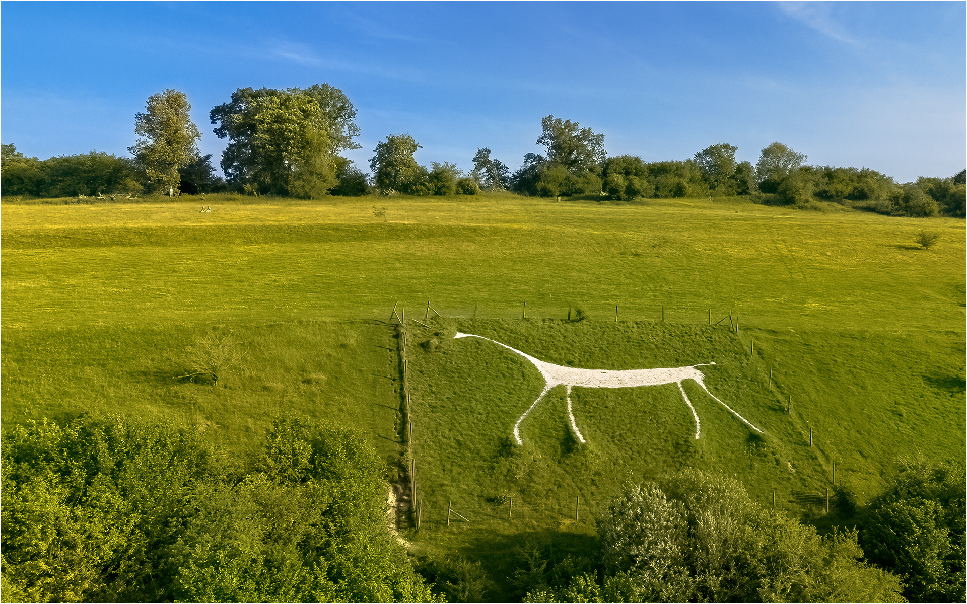 Marlborough White Horse