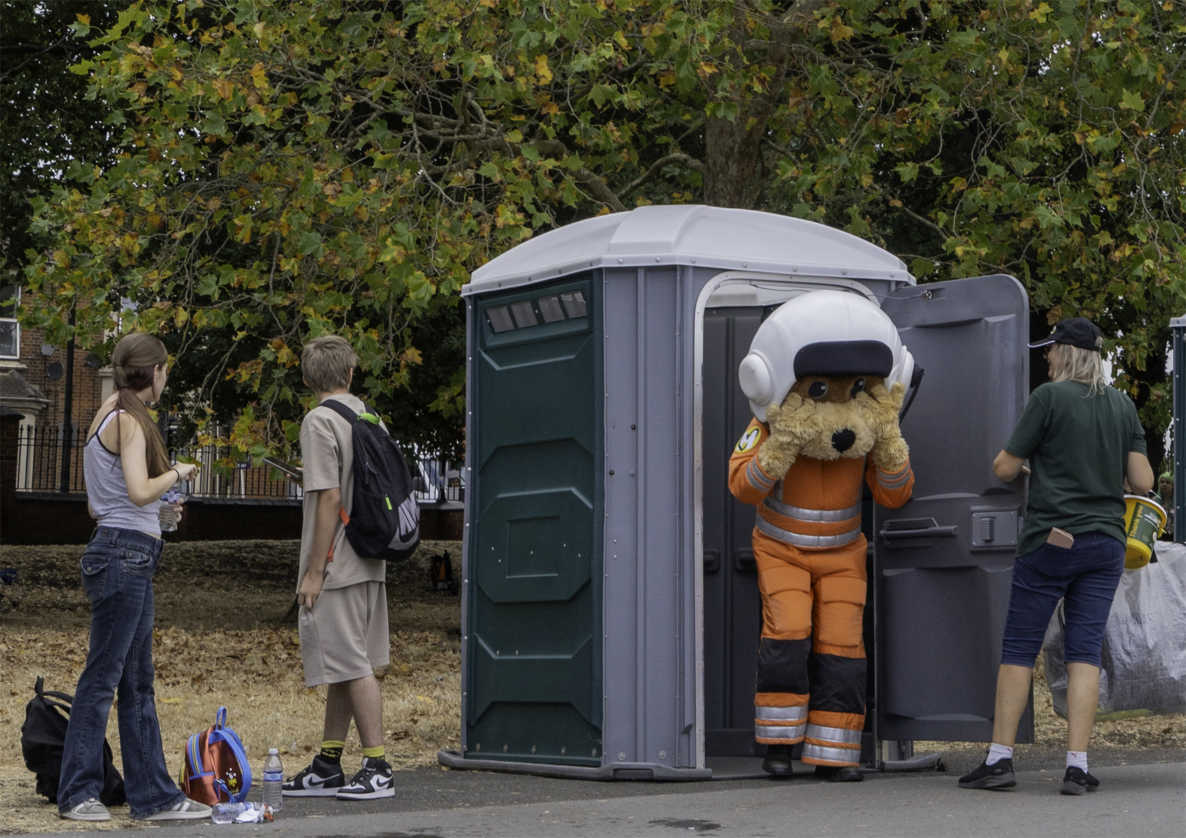 Dr Peas Tardis
