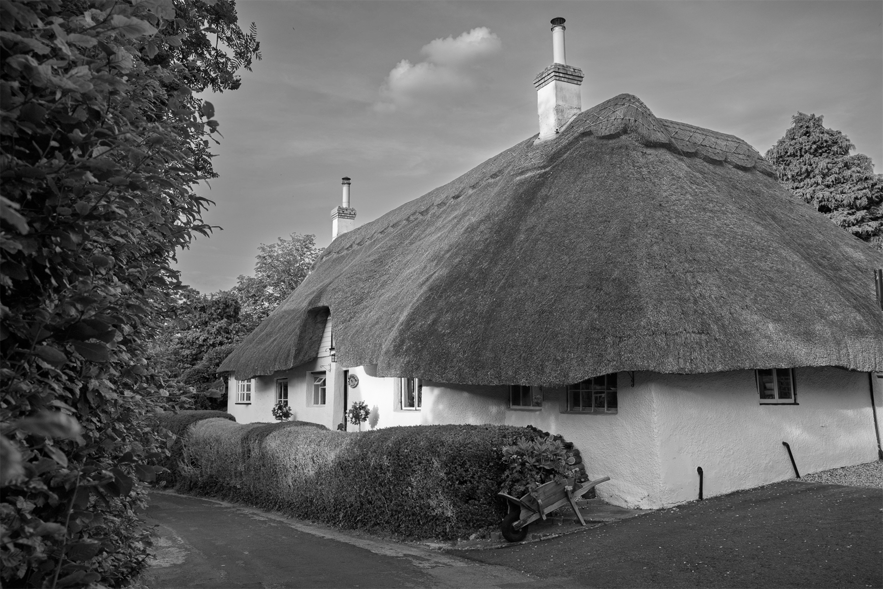 Wiltshire Thatch