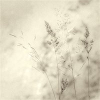 Monthly Competition 4 Print Only