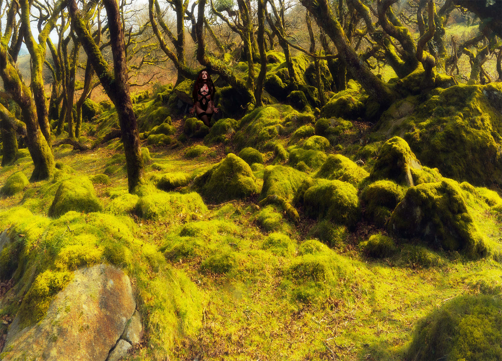 Woodland witch