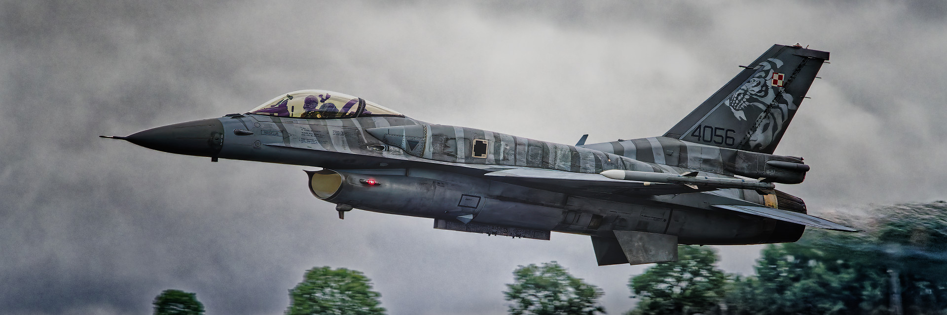 Polish F16 Tiger Demo Team