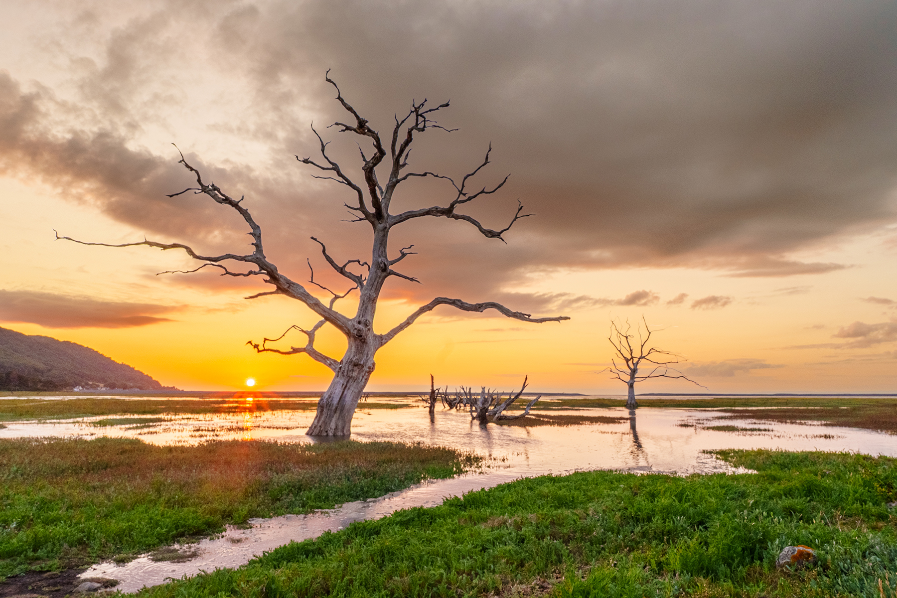 Porlock Marsh Sunset 25