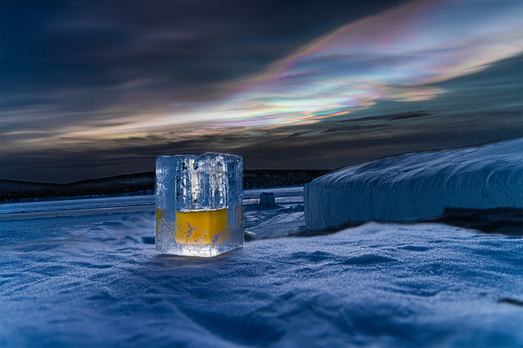 Arctic Pint