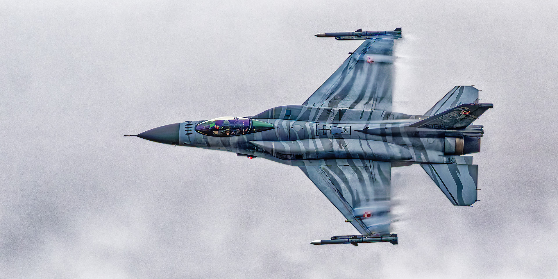 Polish F16 Tiger Demo Team 4
