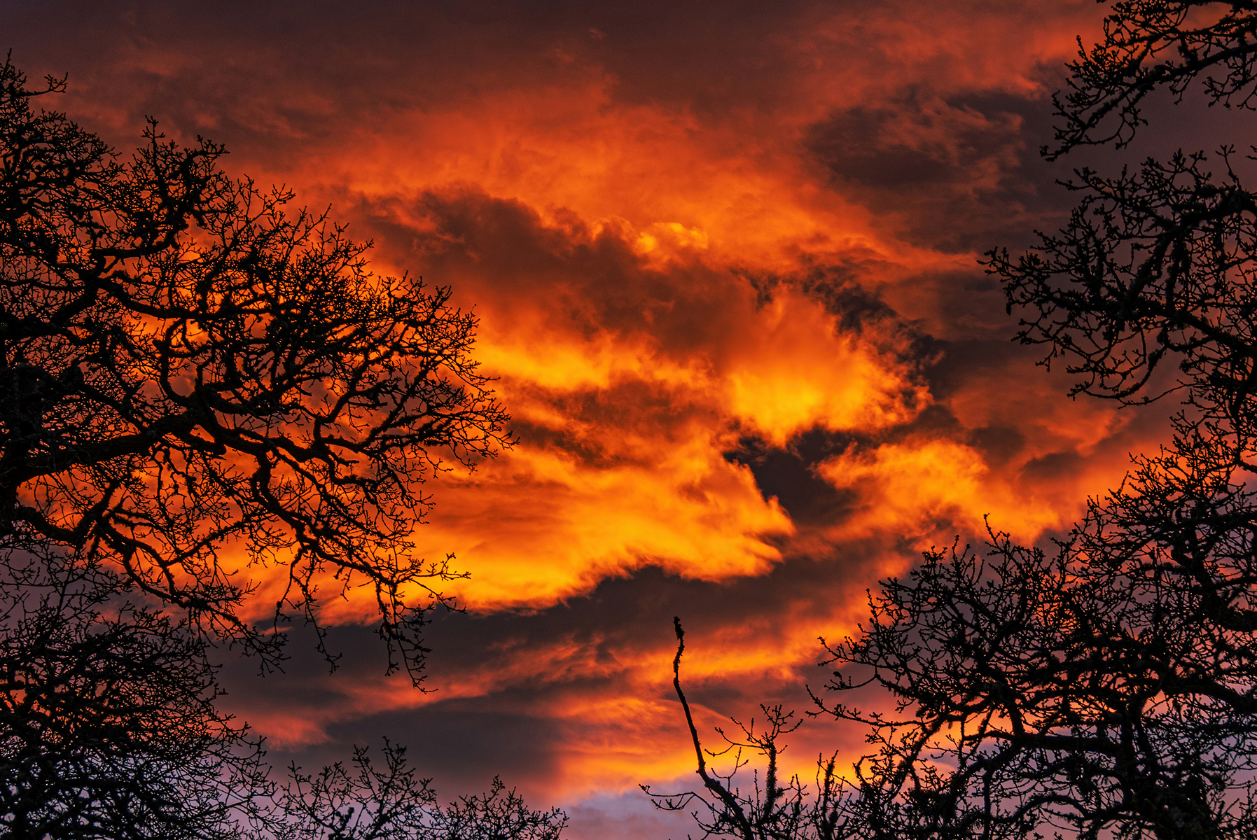 Heavenly Inferno