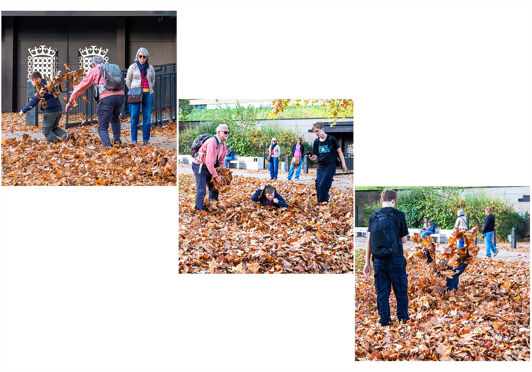 Family Fun With Leaves