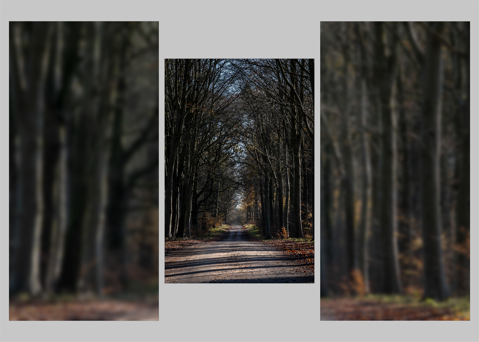 Savernake Avenue