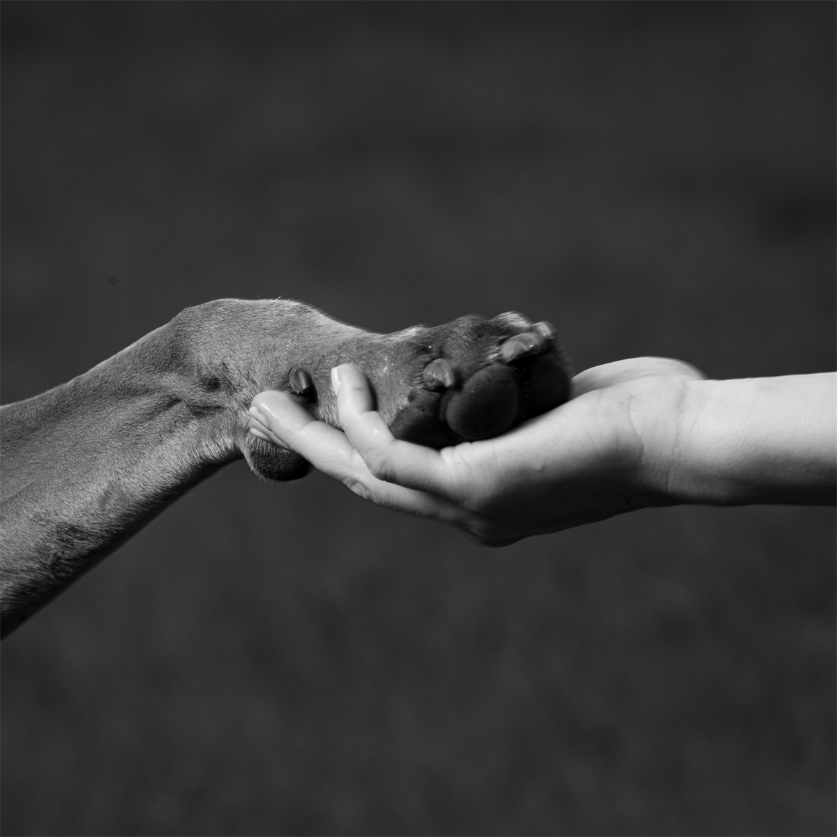 unbreakable connection
