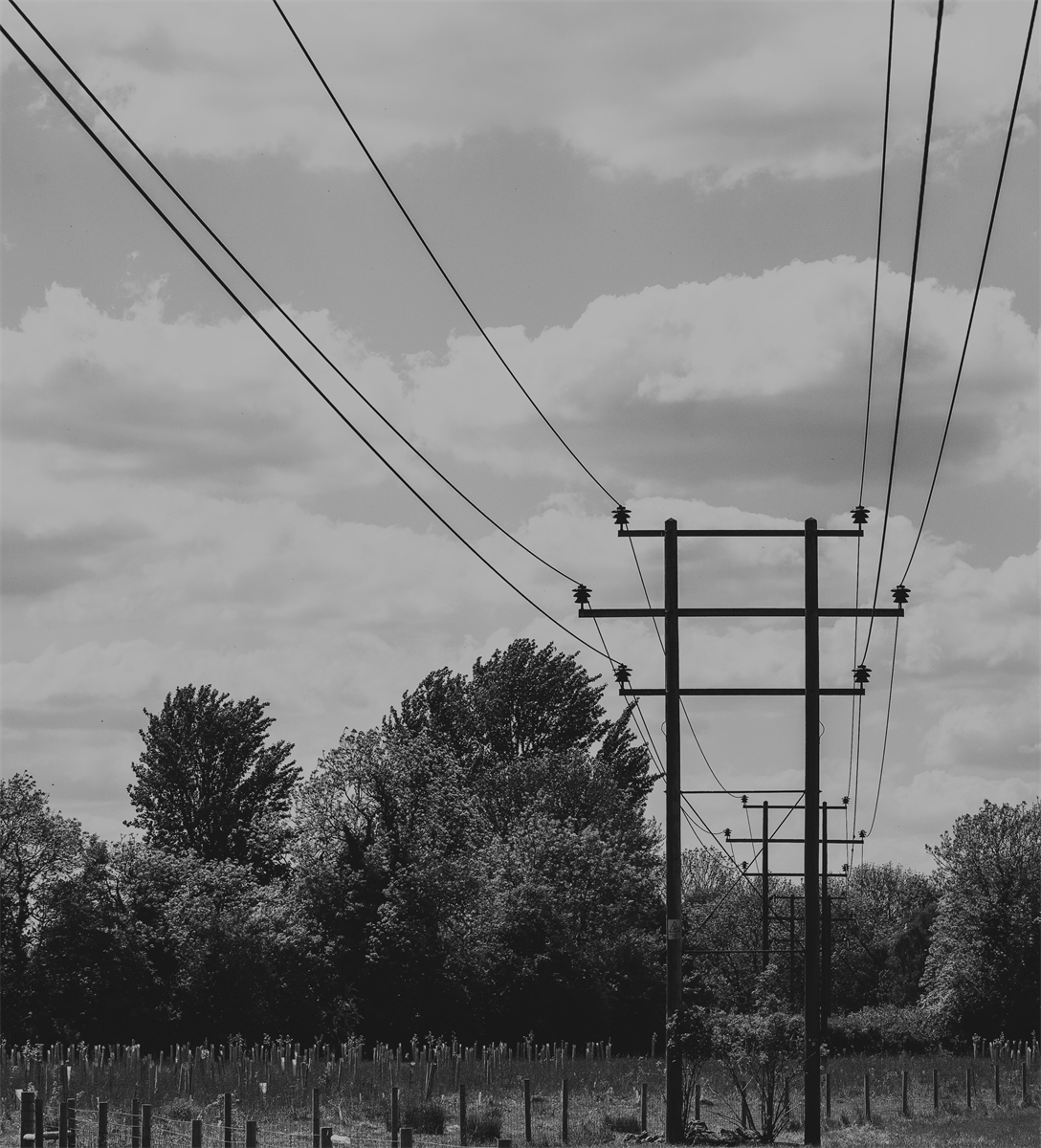 Leading lines