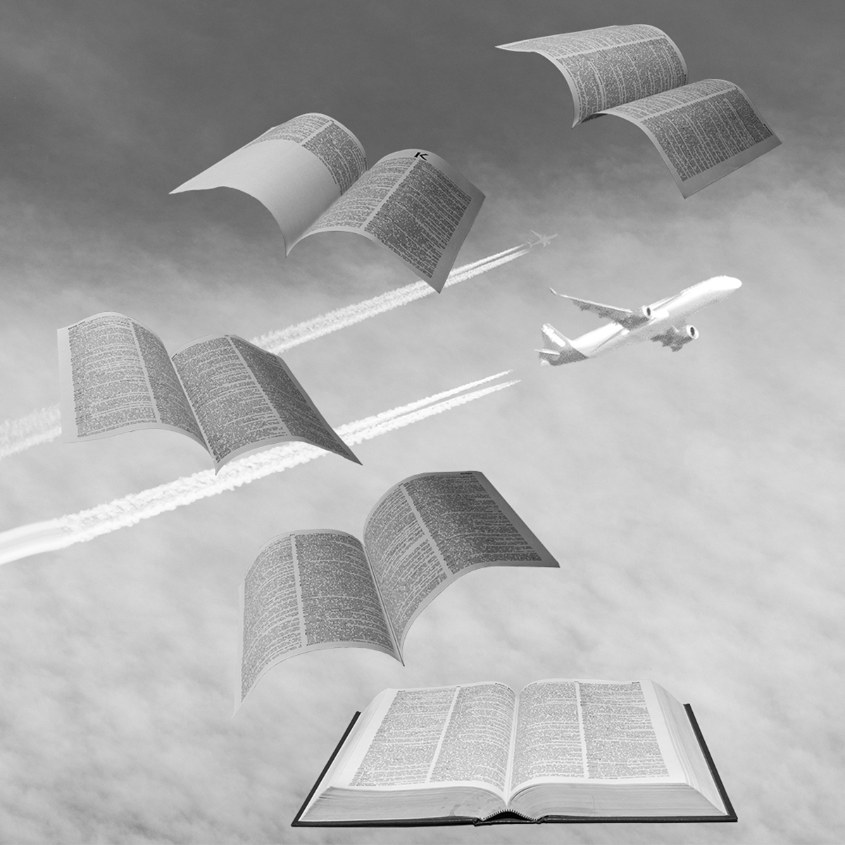 Fly away
