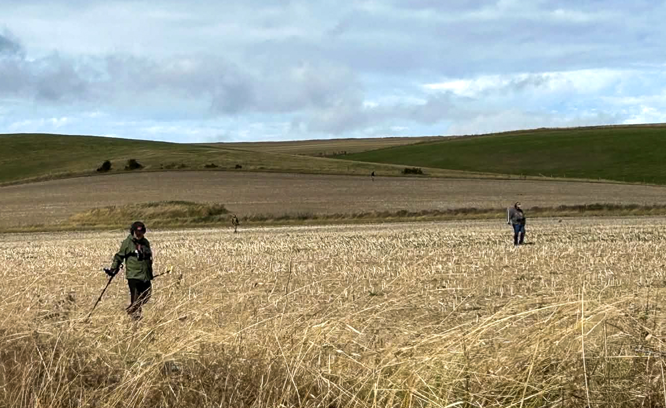 The Detectorists