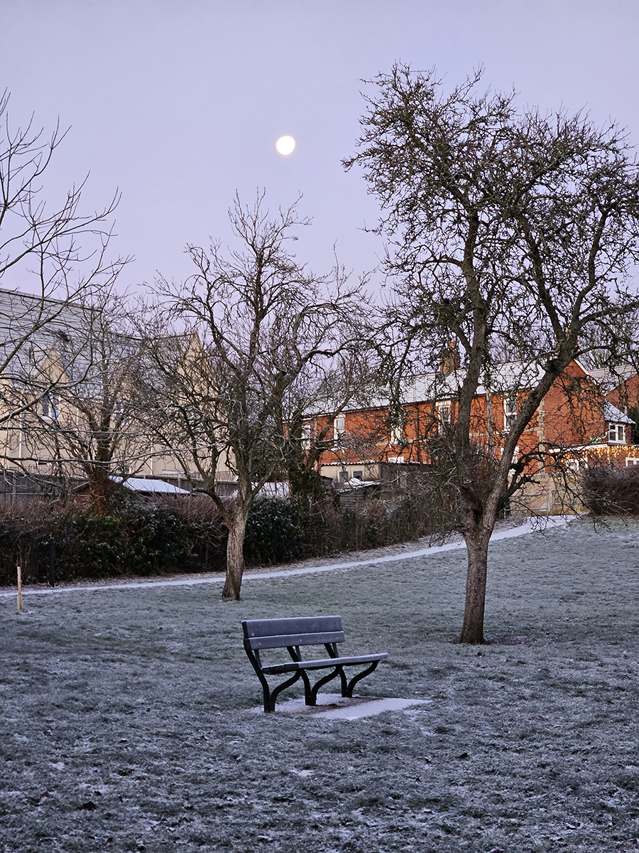 Too cold to sit