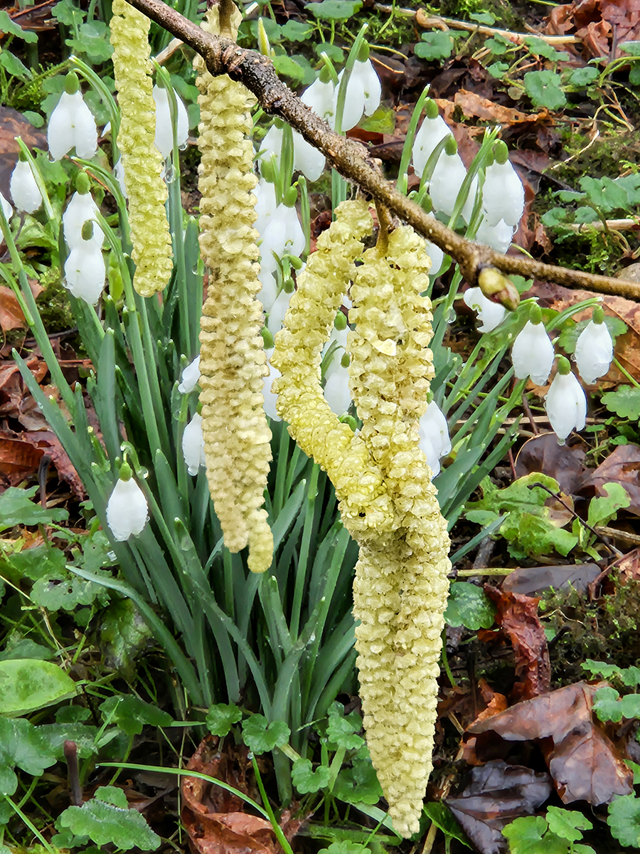 Spring has sprung