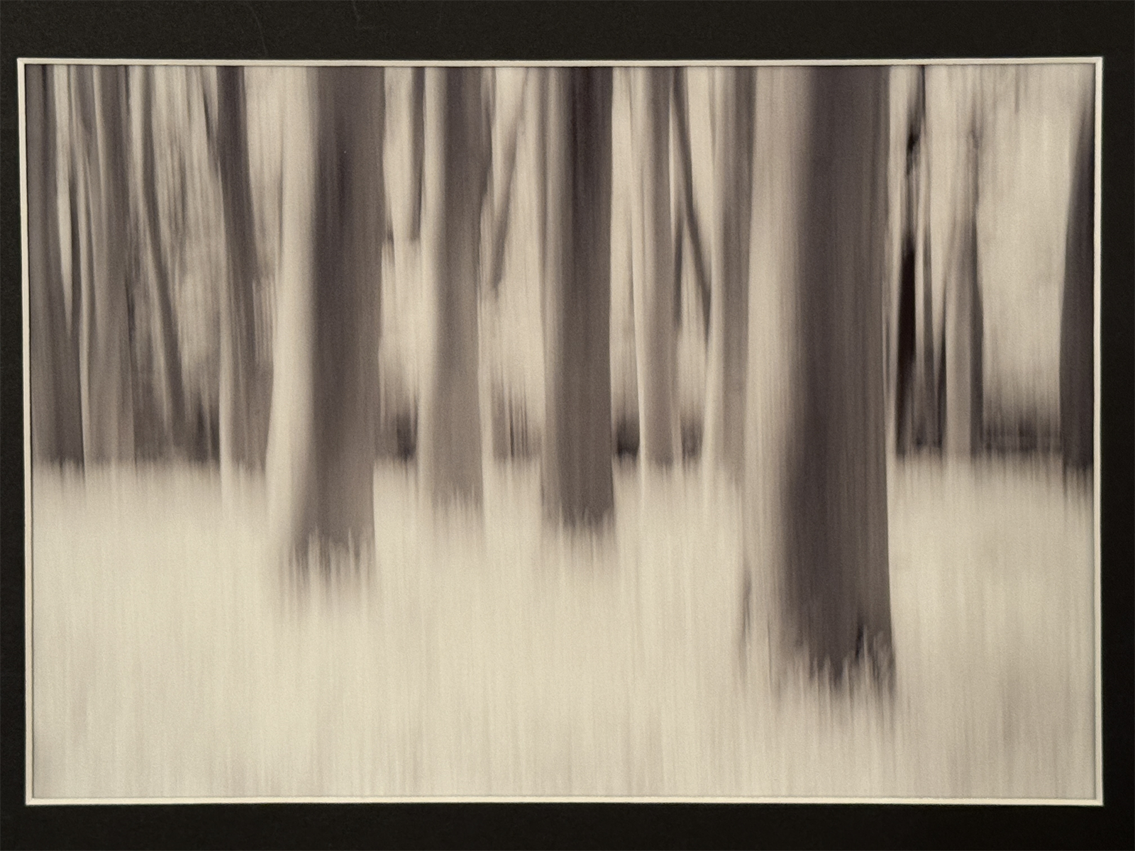 Infra red Bluebell wood
