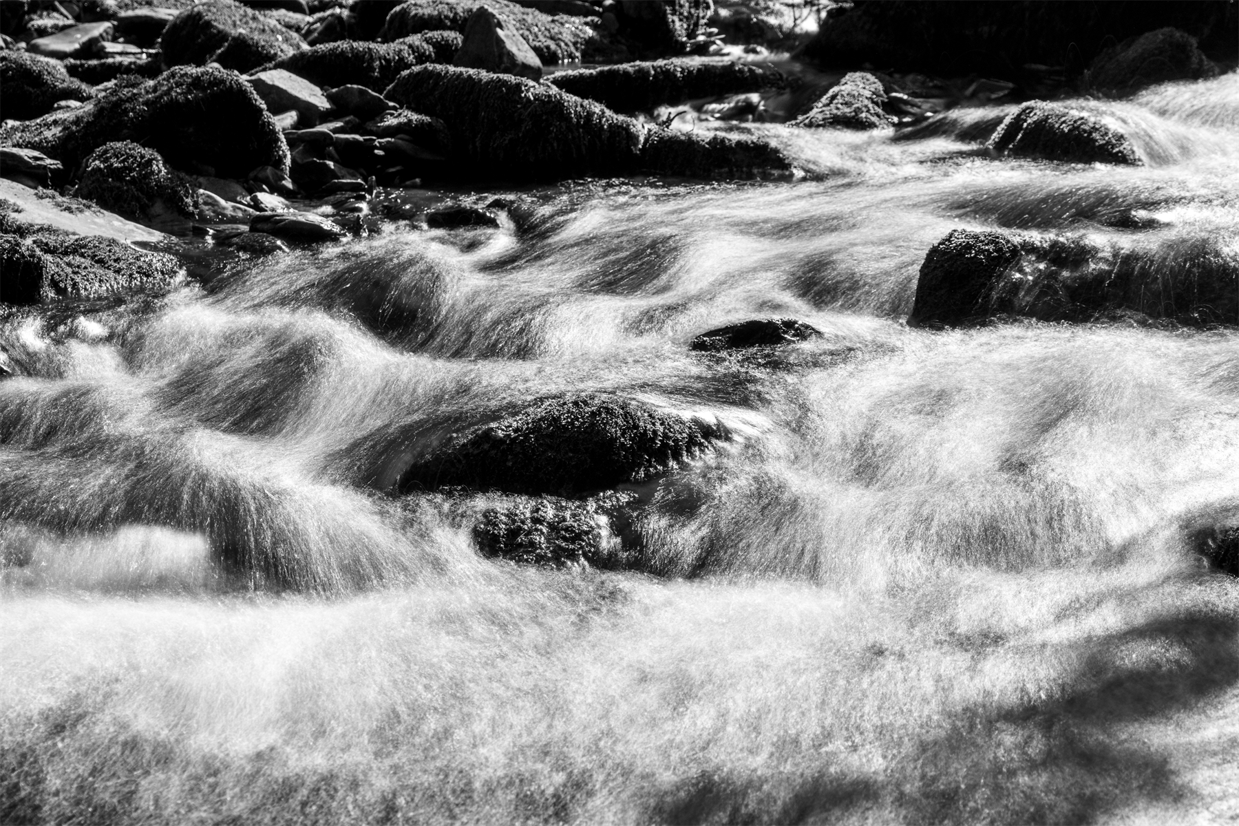 Cotton stream